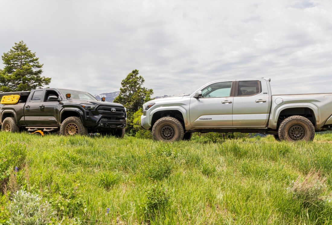 3" SST3.3 Suspension System With Falcon 3.3 Struts/Shocks - Toyota Tacoma 2024-2025